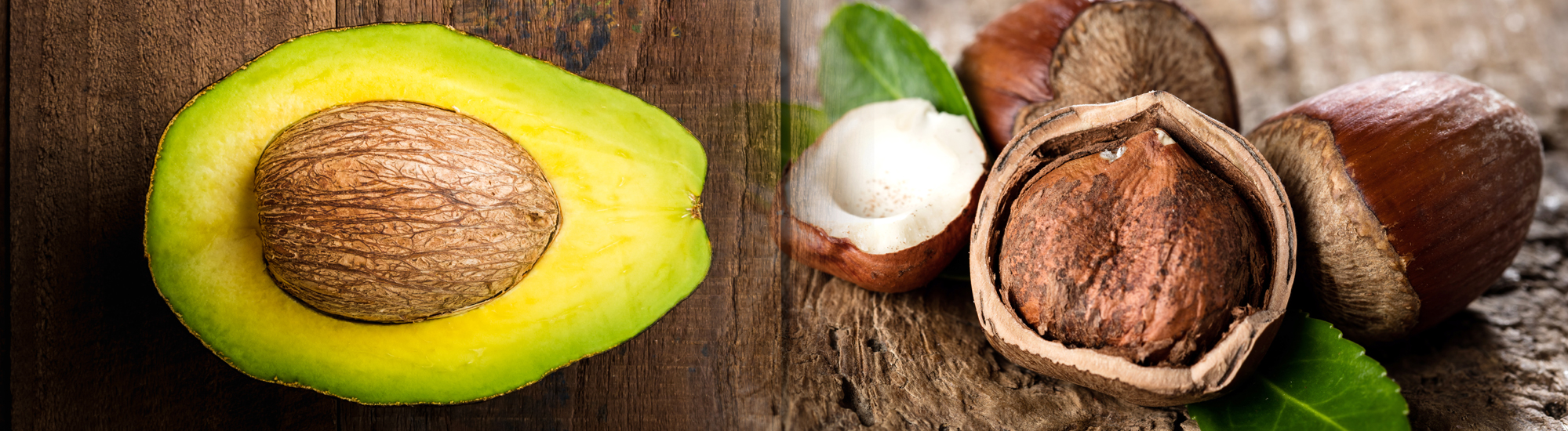 Farming - Avocados and Macadamia Nuts