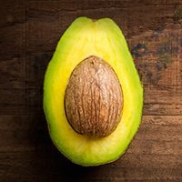 Koeltehof Packers now Mpumalanga’s largest avocado packer, second largest in SA after multi-million Rand upgrade!